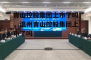 青山控股集团上市了吗，温州青山控股集团上市了吗