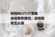 射阳WLCYJT发展应收账款债权，应收账款怎么做