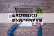 山东ZF控股2023债权资产的简单介绍