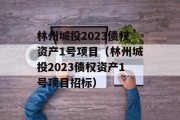 林州城投2023债权资产1号项目（林州城投2023债权资产1号项目招标）