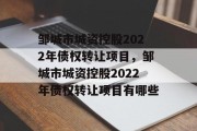 邹城市城资控股2022年债权转让项目，邹城市城资控股2022年债权转让项目有哪些