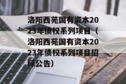 洛阳西苑国有资本2023年债权系列项目（洛阳西苑国有资本2023年债权系列项目招标公告）