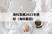 海科发展2023年债权（海科集团）