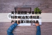 关于政府债-中基南海科教城(山东)债权资产项目第X期的信息