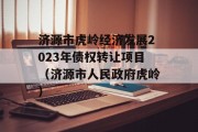 济源市虎岭经济发展2023年债权转让项目（济源市人民政府虎岭）