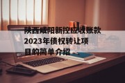 陕西咸阳新控应收账款2023年债权转让项目的简单介绍