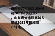 山东寿光市硕鑫城乡建设2023年债权资产，山东寿光市硕鑫城乡建设2023年债权资产转让