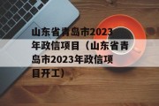 山东省青岛市2023年政信项目（山东省青岛市2023年政信项目开工）