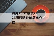 四川XSNY投资2024债权转让的简单介绍