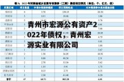 青州市宏源公有资产2022年债权，青州宏源实业有限公司