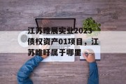 江苏睢展实业2023债权资产01项目，江苏睢盱属于哪里