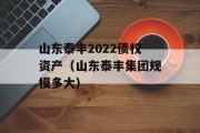 山东泰丰2022债权资产（山东泰丰集团规模多大）