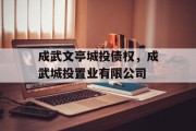 成武文亭城投债权，成武城投置业有限公司