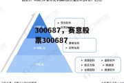 300687，赛意股票300687