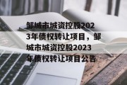 邹城市城资控股2023年债权转让项目，邹城市城资控股2023年债权转让项目公告