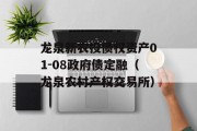 龙泉新农投债权资产01-08政府债定融（龙泉农村产权交易所）