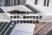 山东诸城财金2022年债权，诸城市财金资产经营管理有限公司