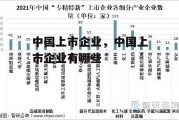 中国上市企业，中国上市企业有哪些