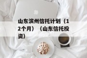 山东滨州信托计划（12个月）（山东信托投资）