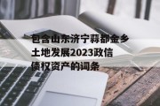 包含山东济宁蒜都金乡土地发展2023政信债权资产的词条