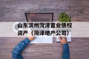 山东滨州菏泽置业债权资产（菏泽地产公司）