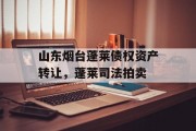 山东烟台蓬莱债权资产转让，蓬莱司法拍卖