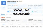 300006，300006000怎么读