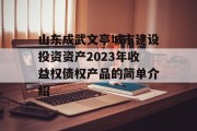 山东成武文亭城市建设投资资产2023年收益权债权产品的简单介绍