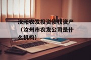 汝阳农发投资债权资产（汝州市农发公司是什么机构）