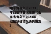 山东省青岛市2023年政信项目城投债（山东省青岛市2023年政信项目城投债务情况）