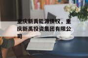 重庆新禹能源债权，重庆新禹投资集团有限公司