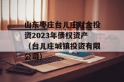 山东枣庄台儿庄财金投资2023年债权资产（台儿庄城镇投资有限公司）