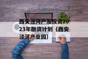 西安泾河产发投资2023年融资计划（西安泾河产业园）