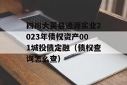 四川大英县通源实业2023年债权资产001城投债定融（债权查询怎么查）