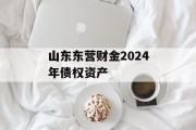 山东东营财金2024年债权资产