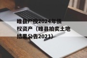 睢县产投2024年债权资产（睢县拍卖土地结果公告2021）