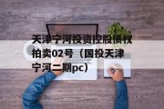 天津宁河投资控股债权拍卖02号（国投天津宁河二期pc）