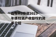 山东HS投资2023年债权资产收益权的简单介绍