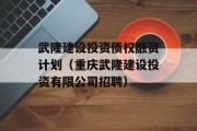 武隆建设投资债权融资计划（重庆武隆建设投资有限公司招聘）