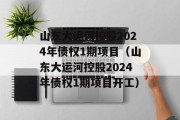 山东大运河控股2024年债权1期项目（山东大运河控股2024年债权1期项目开工）