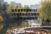 山东省枣庄薛城2022年城市综合开发债权，山东枣庄城建债权