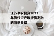 江苏阜农投资2023年债权资产政府债定融的简单介绍