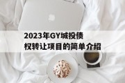 2023年GY城投债权转让项目的简单介绍