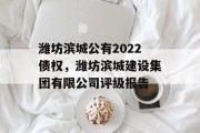 潍坊滨城公有2022债权，潍坊滨城建设集团有限公司评级报告