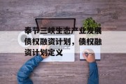 奉节三峡生态产业发展债权融资计划，债权融资计划定义