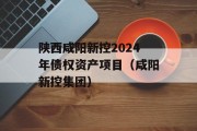 陕西咸阳新控2024年债权资产项目（咸阳新控集团）