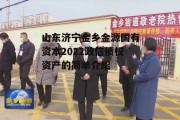 山东济宁金乡金源国有资本2022政信债权资产的简单介绍