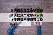 重庆市金潼工业建设投资债权资产定融政府债（债权资产项目可以投吗）