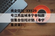 央企信托·XX629号江苏盐城阜宁非标政信集合信托计划（阜宁集资案）