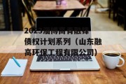 2023淄博高青融锋债权计划系列（山东融高环保工程有限公司）